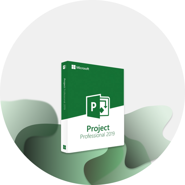 Microsoft Project 2019