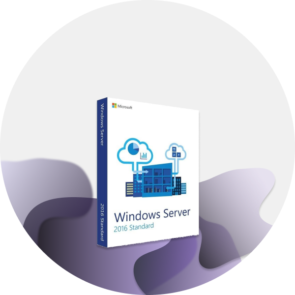 Microsoft Windows Server 2016